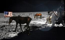 Horses on the Moon